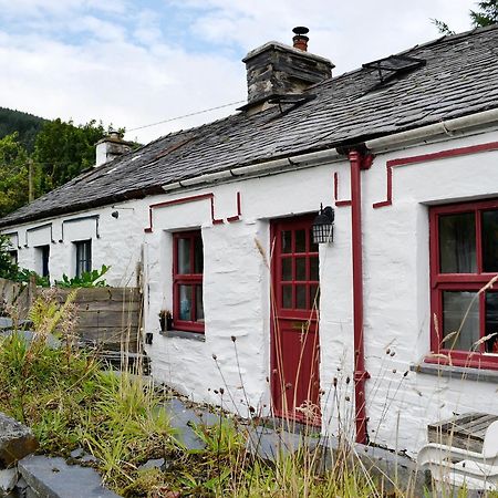 Dolwyddelan Bryn Rhos Gochヴィラ エクステリア 写真